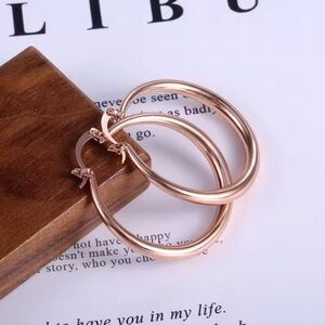 Elegant Rose Gold Hoop Earrings